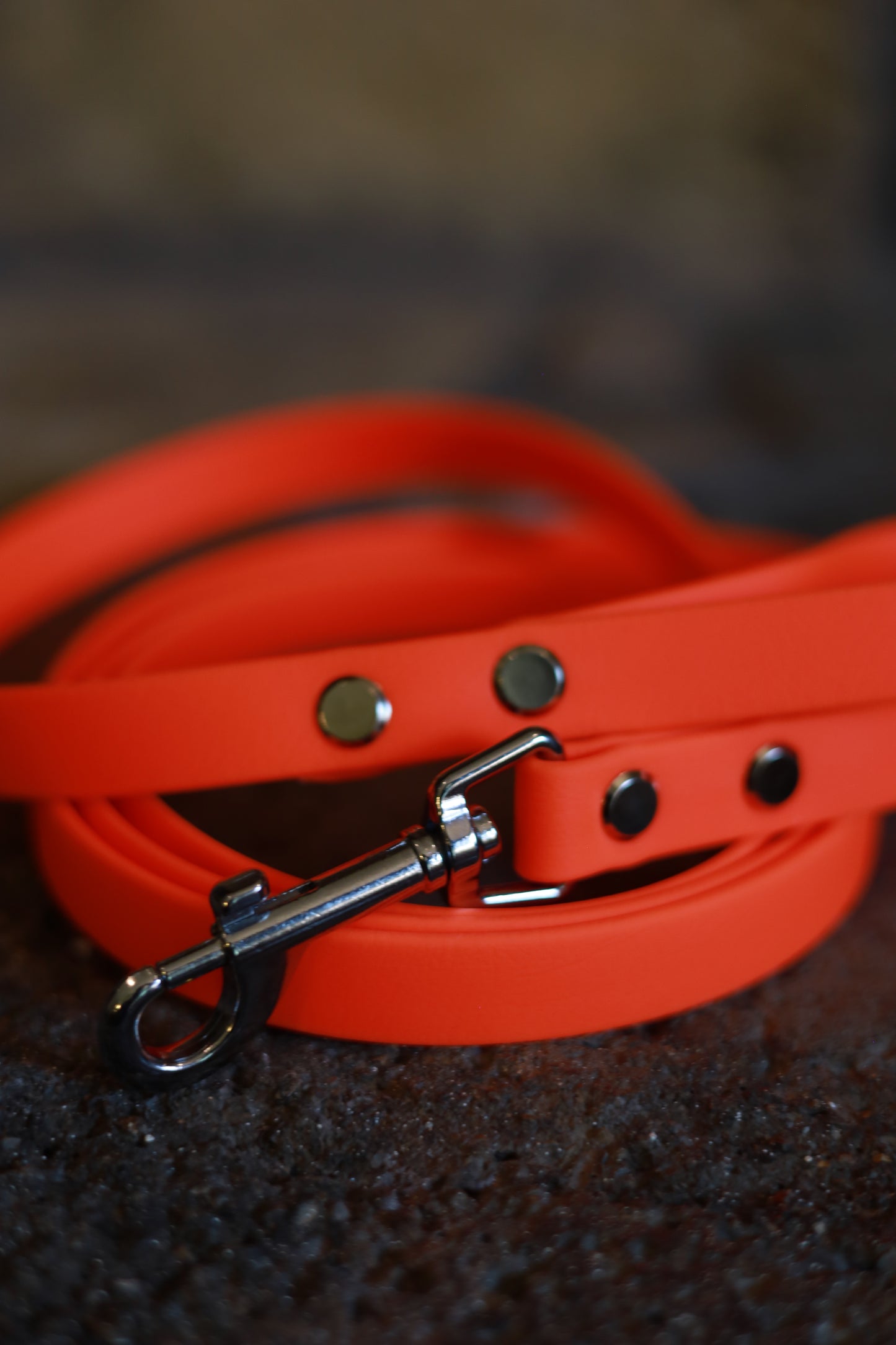 Hunter Orange Leashes