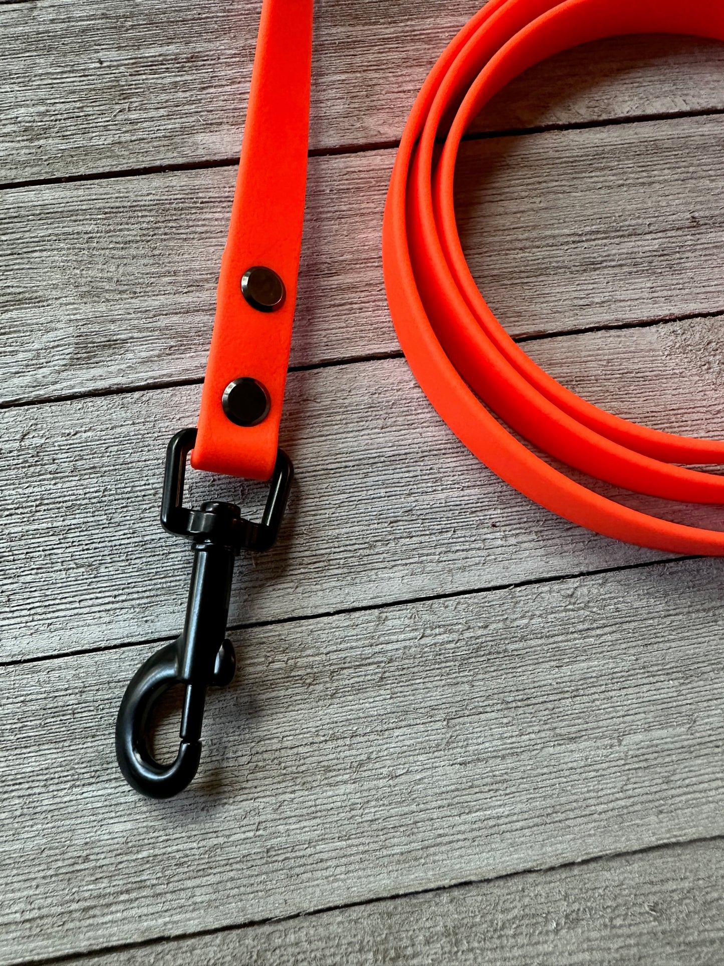 Hunter Orange Leashes