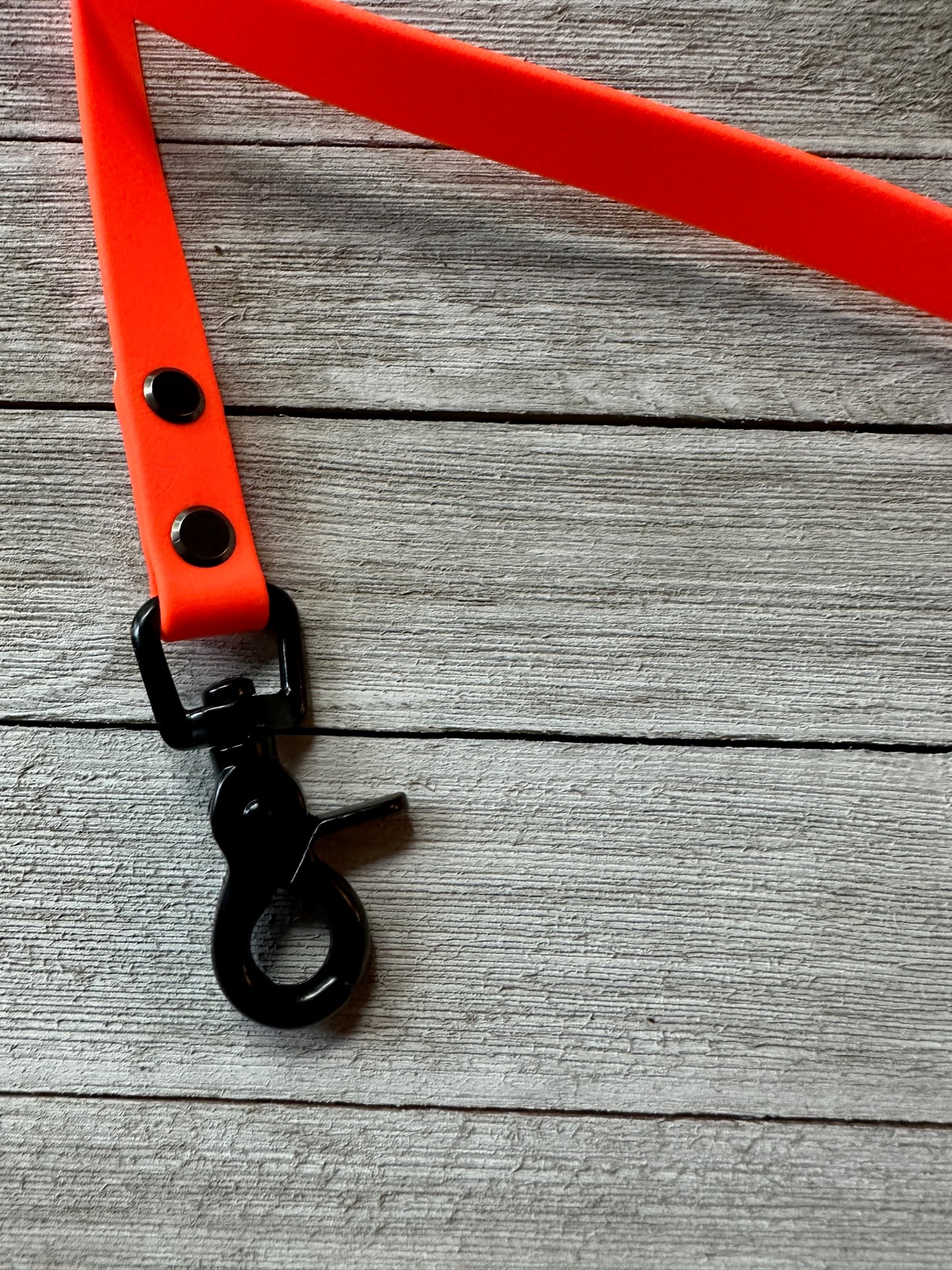 Hunter Orange Leashes