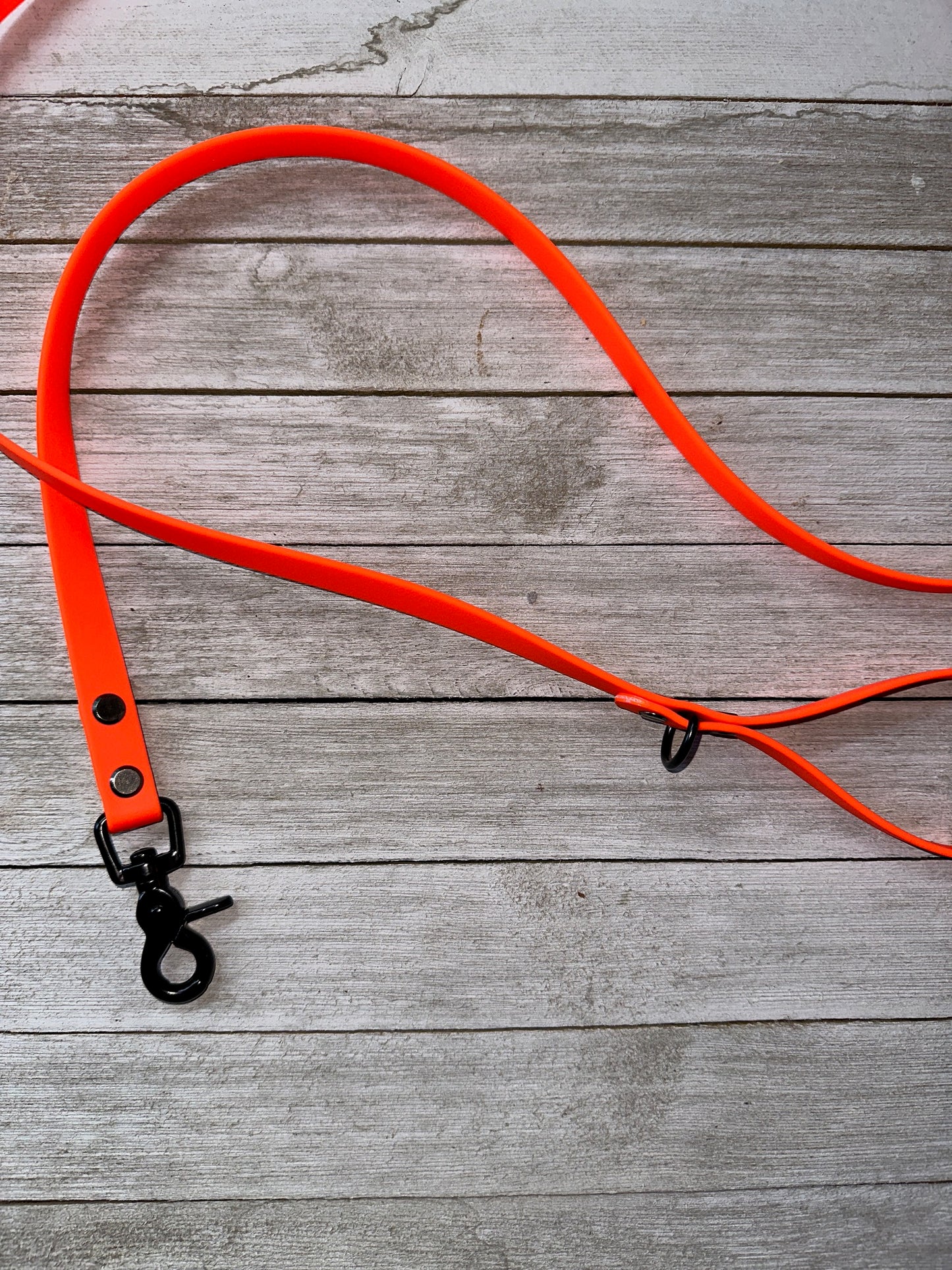 Hunter Orange Leashes