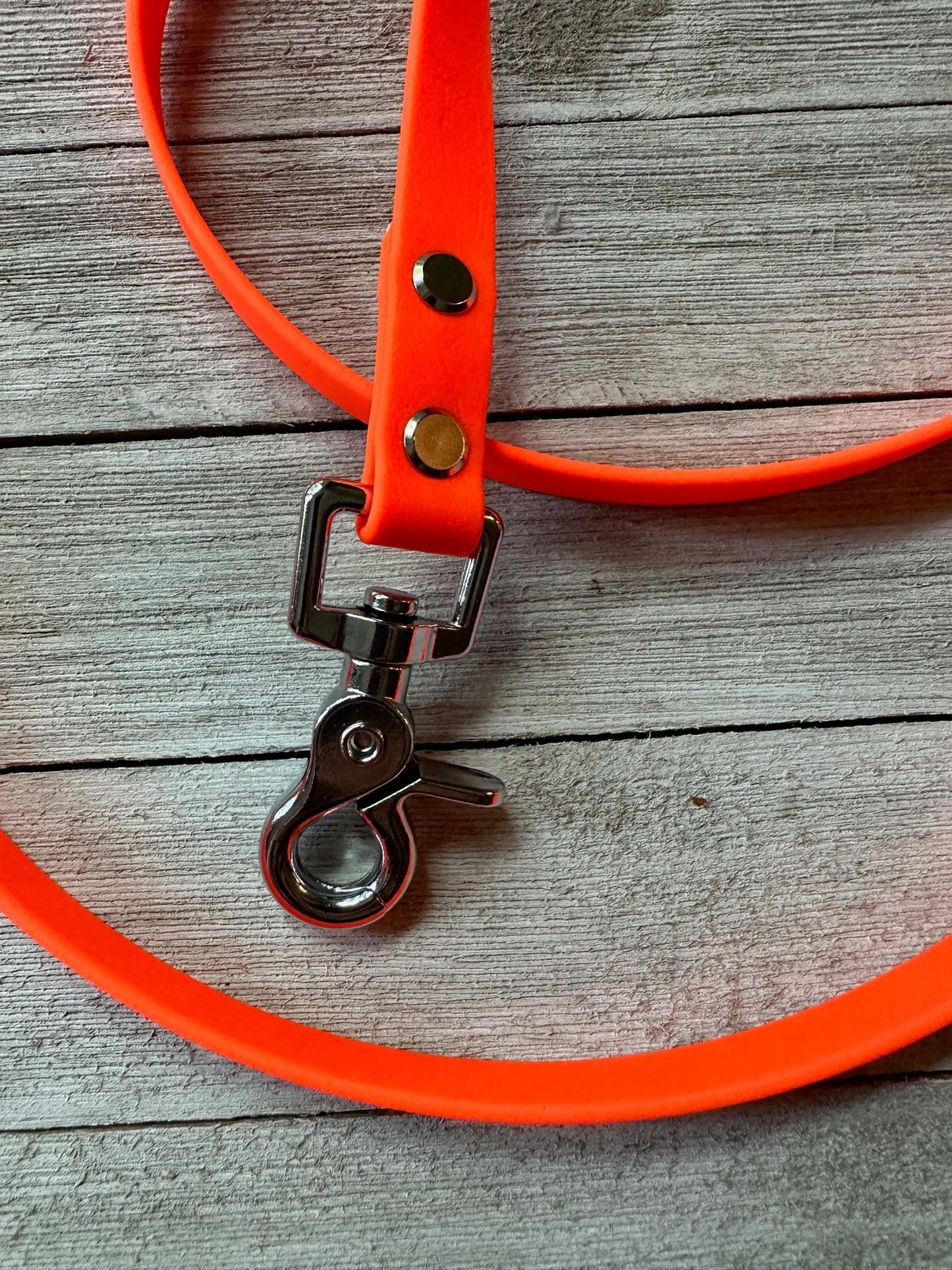 Hunter Orange Leashes