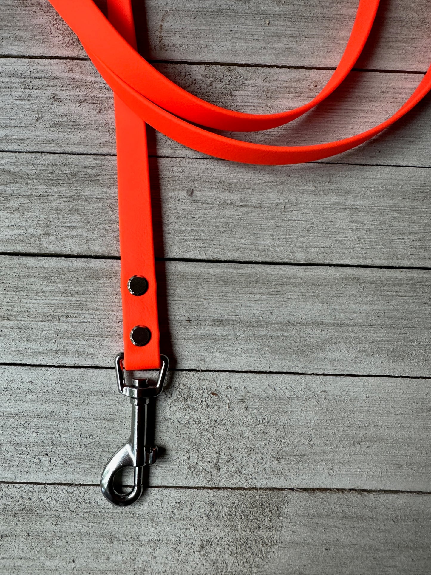 Hunter Orange Leashes