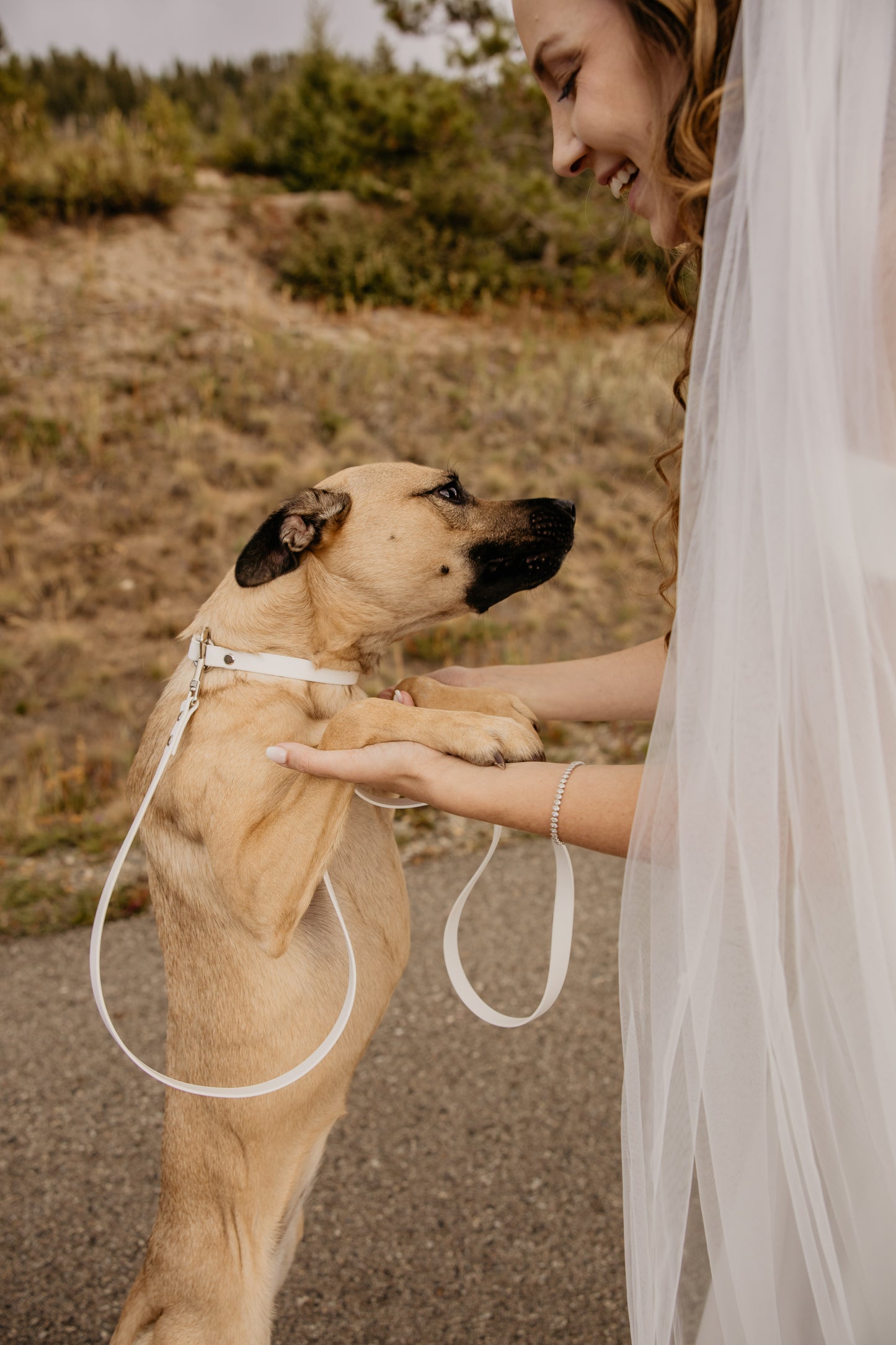 Arctic White Leashes